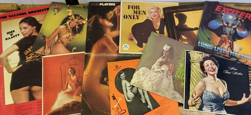 Lot of 10 Random Cheesecake LP Covers NO Vinyl Record 12” Covers ONLY All Eras!