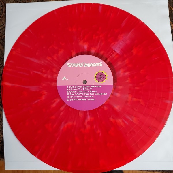 The Striped Bananas - Eternity Forest Vinyl - Psychedelic Rock Garage Rock Rare gallery