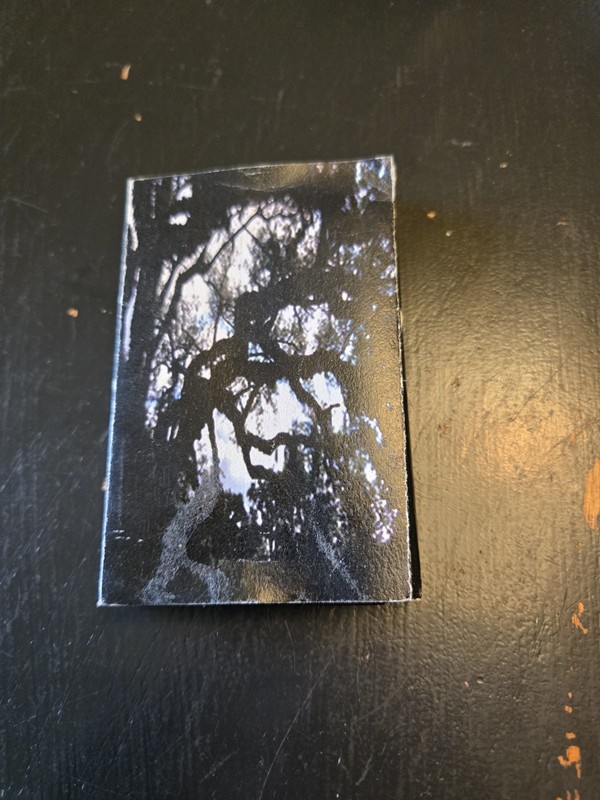 Thou / Leech we pass like night… from land to land split cassette tape /500