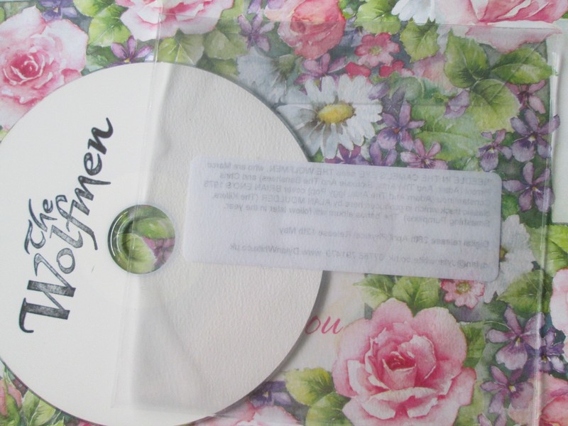 The Wolfmen ‎ENO Needle In The Camel’s Eye 3 track Promo CD Alan Moulder
