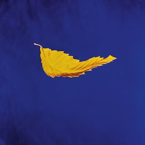 New Order True Faith (2023 Remaster) Records & LPs New