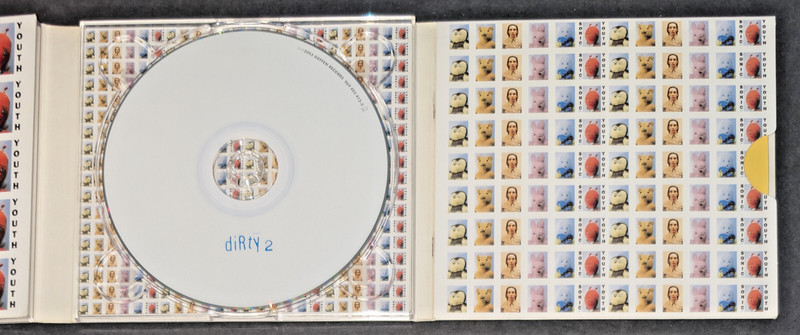 Sonic Youth Dirty 2 x CD 1992 Deluxe Edition Reissue Remastered 2003 2 Discs gallery