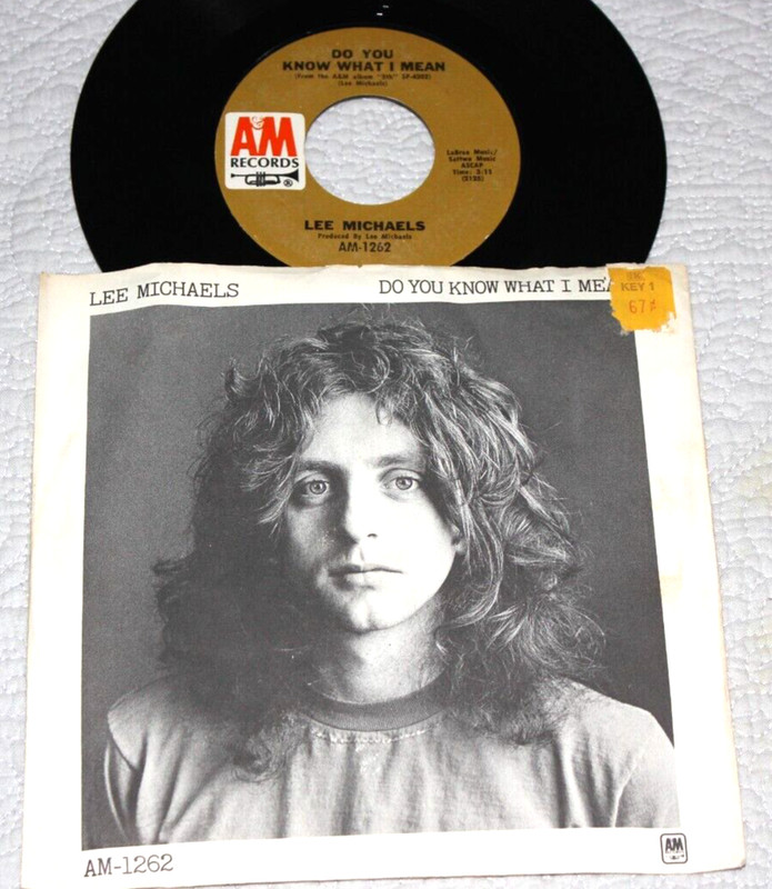 LEE MICHAELS – Do You Know What I Mean (Original 1971 7″ 45 Vinyl + PS)