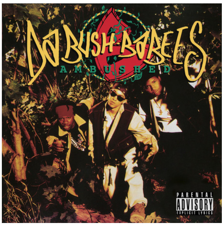 Bush Babees – Ambushed / 2xLP Vinyl