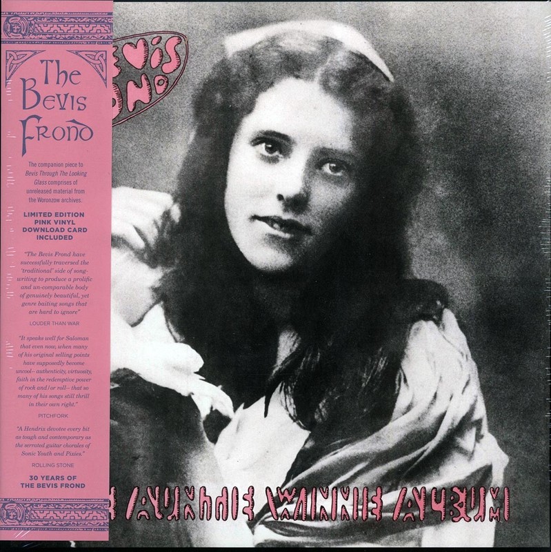 VINYL The Bevis Frond – The Auntie Winnie Album