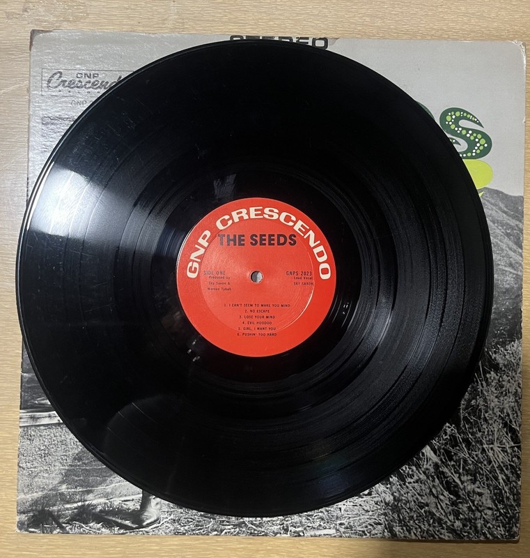 The Seeds LP 1966 Garage Rock gallery