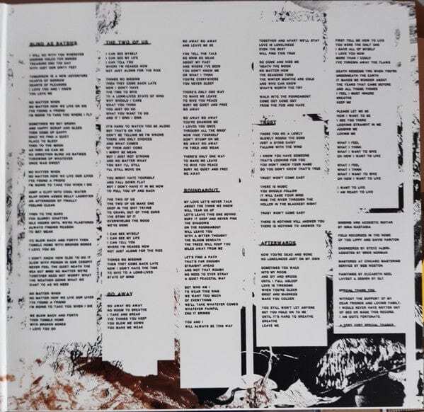 Nina Nastasia - Riderless Horse (LP) (Clear/Black) gallery
