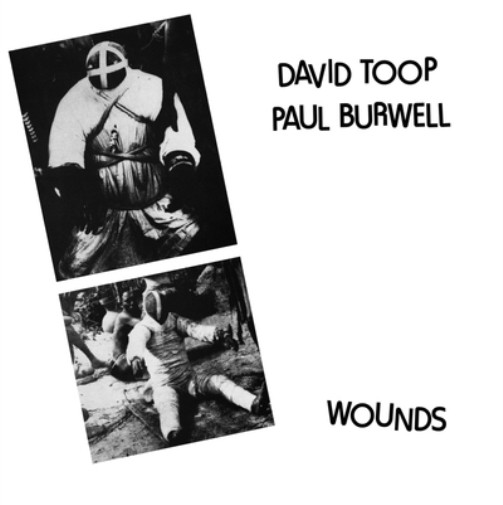 David Toop & Paul Burwell Wounds (Vinyl) 12″ Album