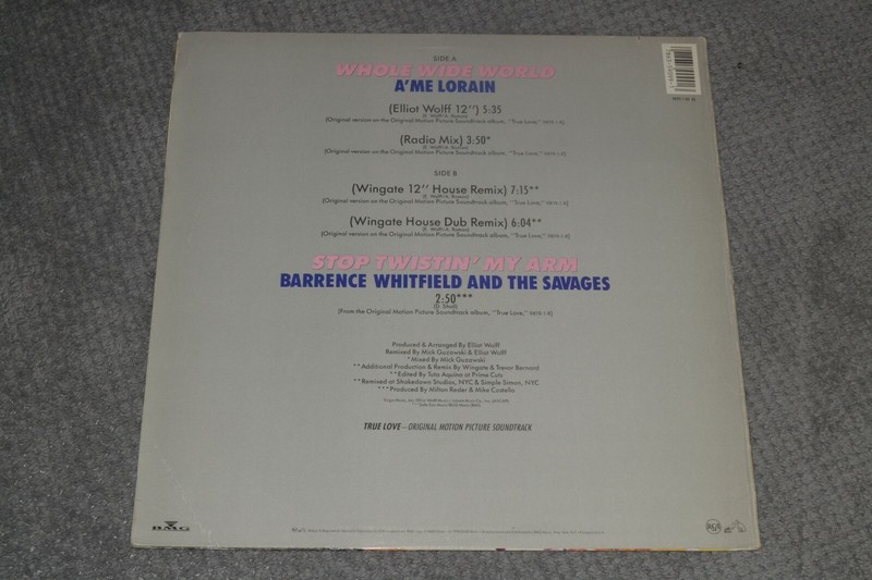 A'me Lorain~Whole Wide World~1989 Electronic Downtempo House~FAST SHIPPING!! gallery