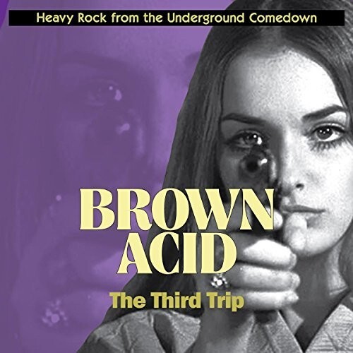 Various Artists – Brown Acid: Third Trip (Various Artists) [New Vinyl LP]