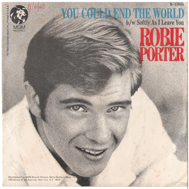 ROBIE PORTER–PICTURE SLEEVE ONLY–(YOU COULD END THE WORLD)–PS–PIC–SLV