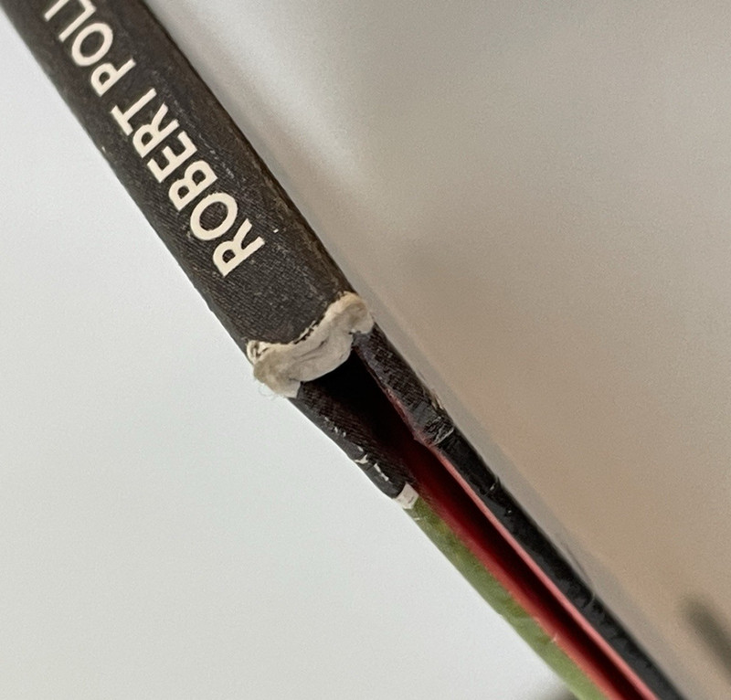 Robert Pollard From A Compound Eye 2006 Vinyl LP gallery