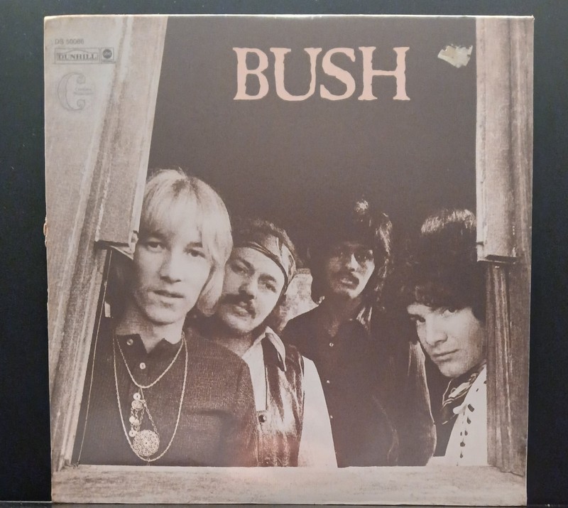 BUSH S/T DUNHILL DS 50086 SEALED HEAVY PSCH ROCK