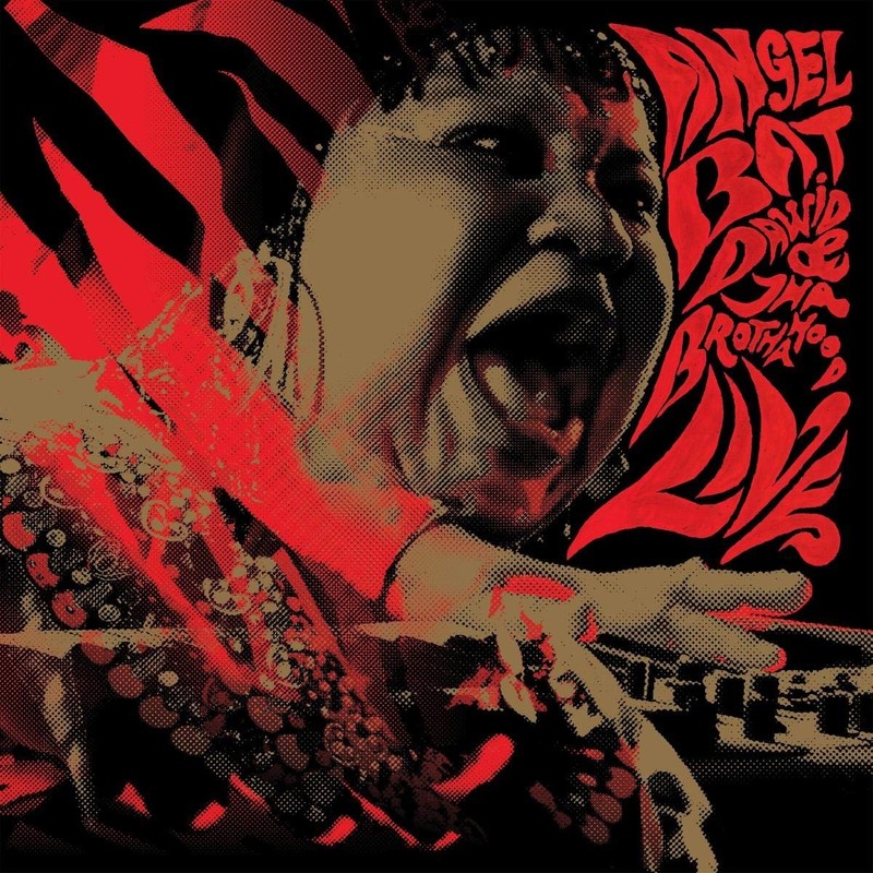 Dawid Live (2Lp) Lp New