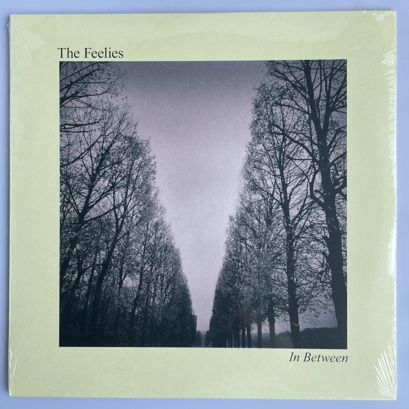 The Feelies – In Between – Vinyl, LP, Reissue, Bar/None Records, 2017 NEW Rock
