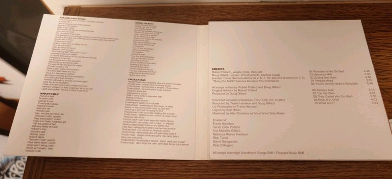 Lifeguards - Waving at the Astonauts (CD, 2011) Robert Pollard Guided By Voices gallery