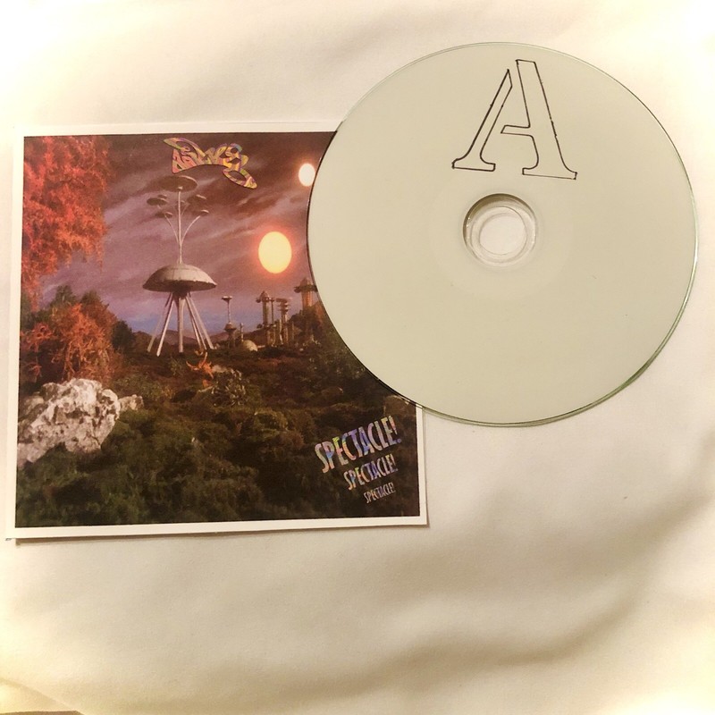 Private Press Indy Psychedelic Rock Lathe Cut Vinyl LTD 20 COPIES 2025 Ashes LP gallery