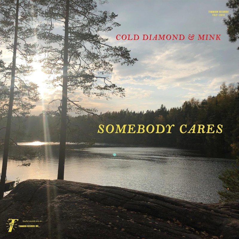 COLD DIAMOND & MINK & JONNY BENAVIDEZ SOMEBODY CARES (MY ECHO, SHADOW & ME INS..