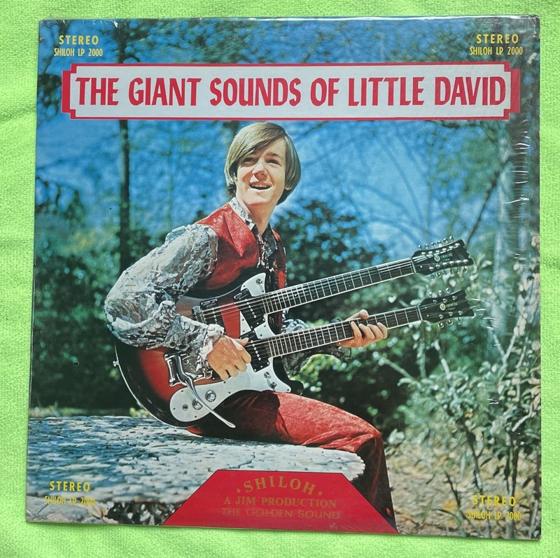 David Smith – The Giant Sounds Of Little David LP Vinyl Record Album VG / VG