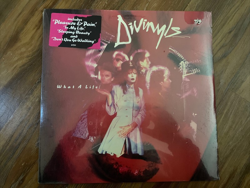 Divinyls ‎– What A Life! 1985 Chrysalis FV 41511 Sealed Vinyl NM-