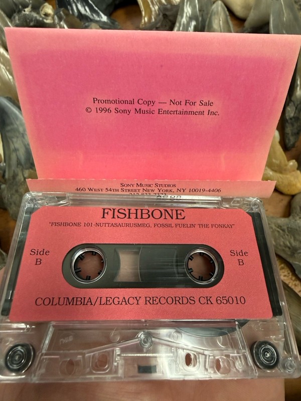 1996 ADVANCE PROMO FISHBONE FISHBONE 101 FUNK METAL PUNK SKA ROCK LOS ANGELES CA gallery