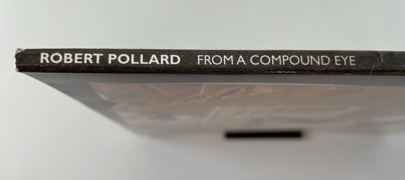 Robert Pollard From A Compound Eye 2006 Vinyl LP gallery