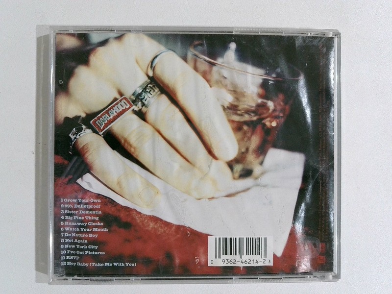 DARLAHOOD – Big Fine Thing CD 1996 Promo Alternative Rock Reprise gallery