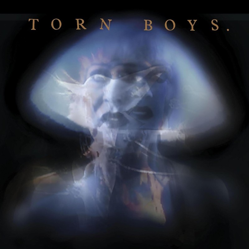 Torn Boys 1983 (CD) Album (UK IMPORT)