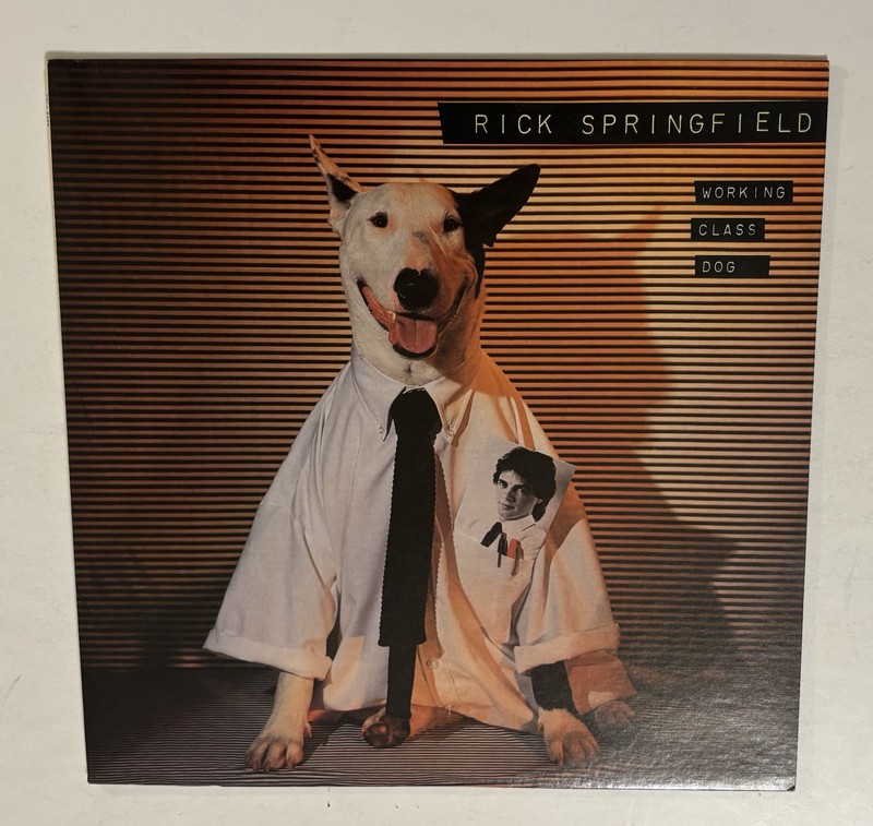 Rick Springfield Working Class Dog LP Vinyl Record 1981 RCA AFL1-3697 NM b