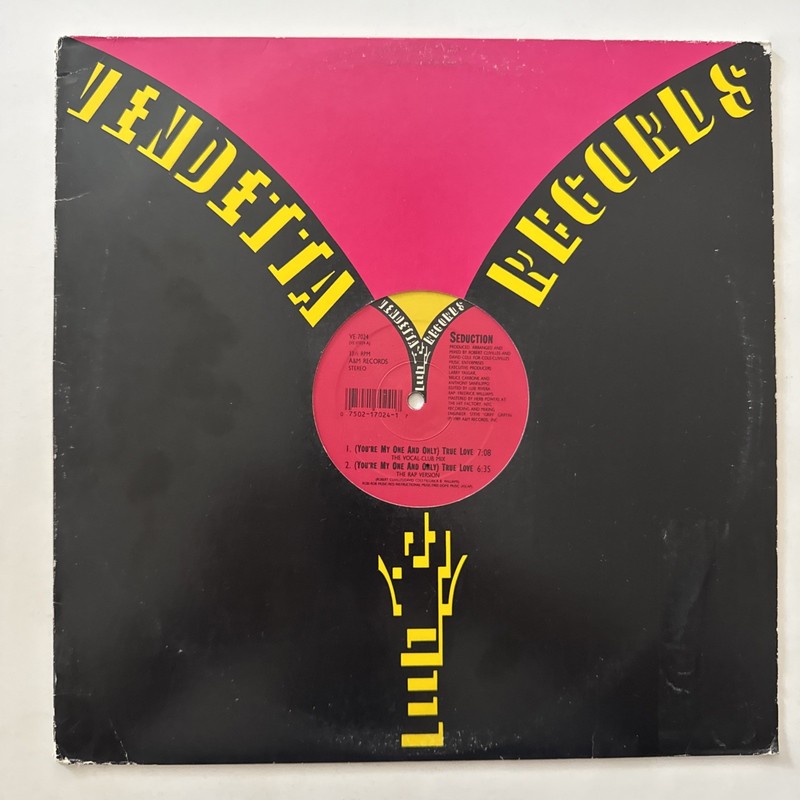 Seduction/ You’re My One and Only True Love / 12″ Vinyl Single EX/VG+