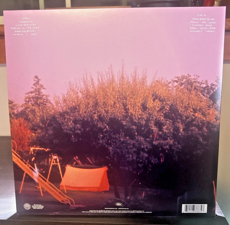 Waiting to Spill by Backseat Lovers (Record, 2022) Opened, never played gallery