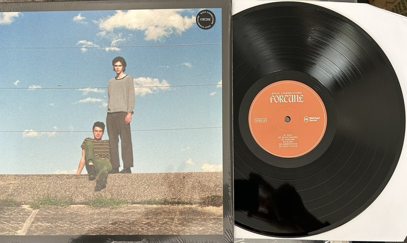 Gold Connections – Fortune 2024 VINYL LP Indie Rock [Will of Car Seat Headrest]
