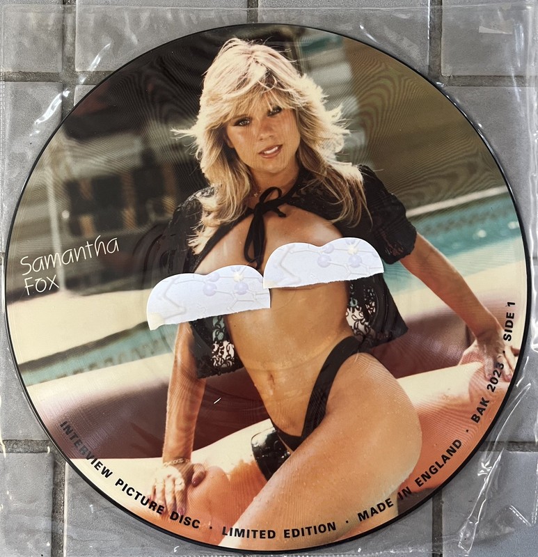 Samantha Fox Interview Picture Disc Vinyl Lot Of 2 Limited Edition UK Import