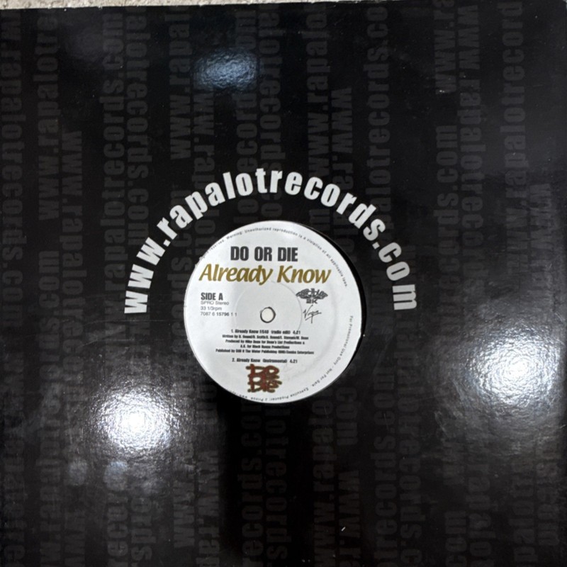 Rap Hip Hop Vinyl Records Lot Of 7 Lil Jon, Aqualeo, Do Or Die,Scarface Technics gallery