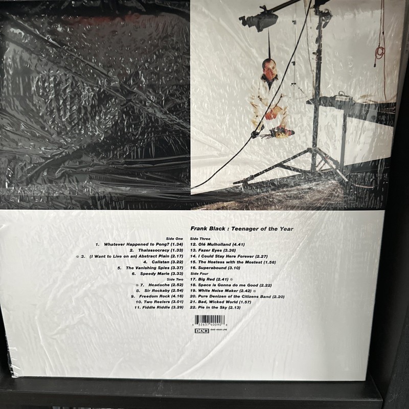 Frank Black Teenager Of The Year (Rsd) 2LP White Vinyl 2019 gallery