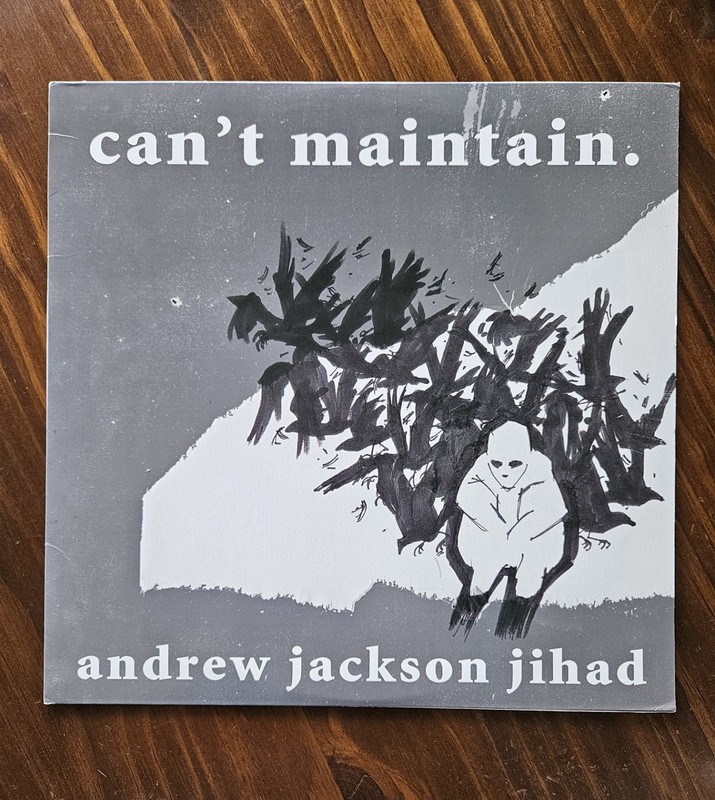 Andrew Jackson Jihad – Can’t Maintain. LP Punk Folk Colored Vinyl AJJ Rock Indie