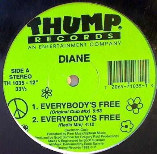 Diane Williamson – Everybody’s Free (12″) (Very Good Plus (VG+))