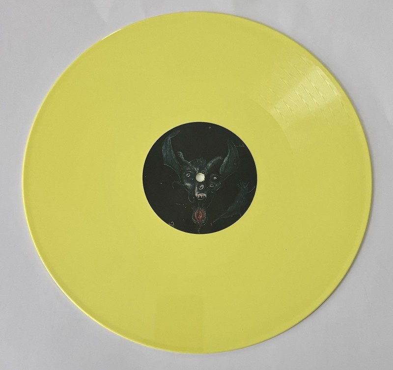 Integrity Humanity Is The Devil Lp Vinyl Rexord NewAgnostic Front Madball Terror gallery