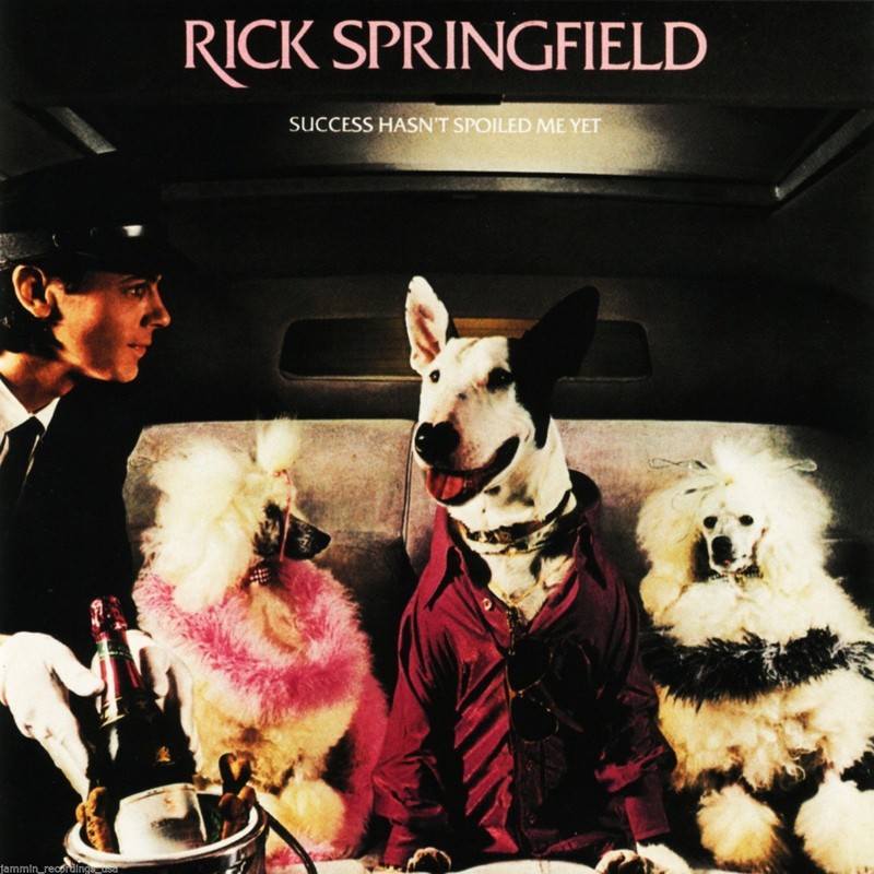 RICK SPRINGFIELD – Success Hasn’t Spoiled Me Yet – CD