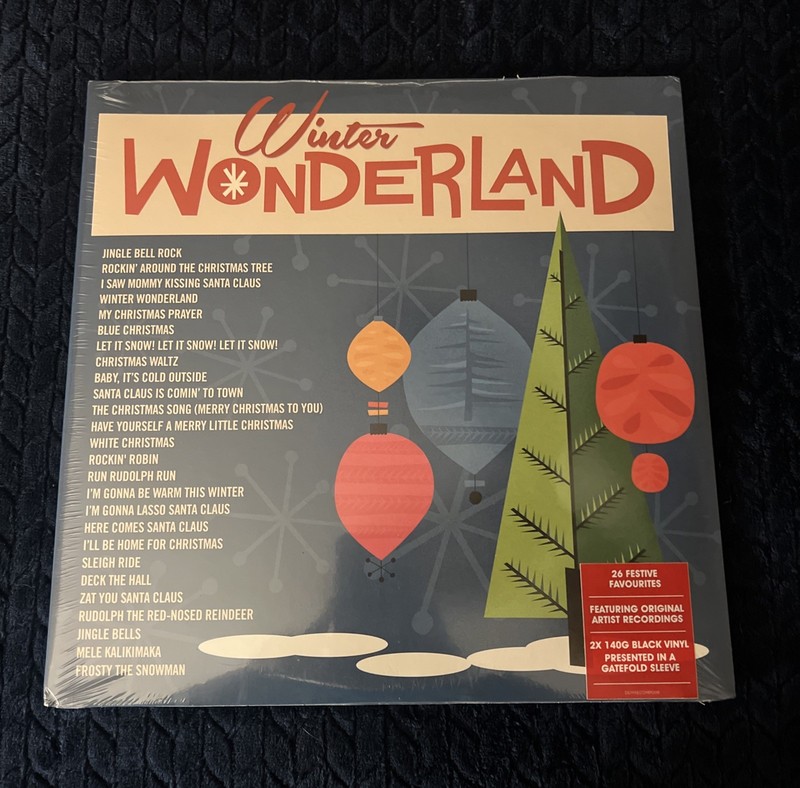 Winter Wonderland by Various (Record, 2017)