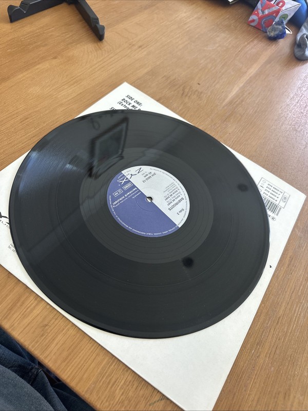 Babyroots - Rock Me Baby (VINYL) gallery