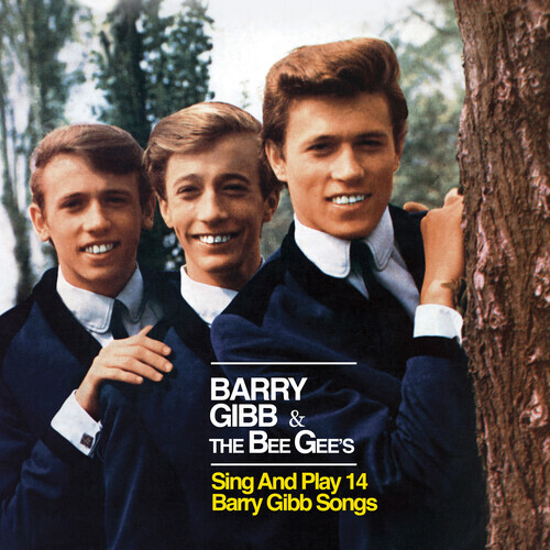 Bee Gees – Barry Gibb & The Bee Gees Sing & Play 14 Barry Gibb Songs [Used Very