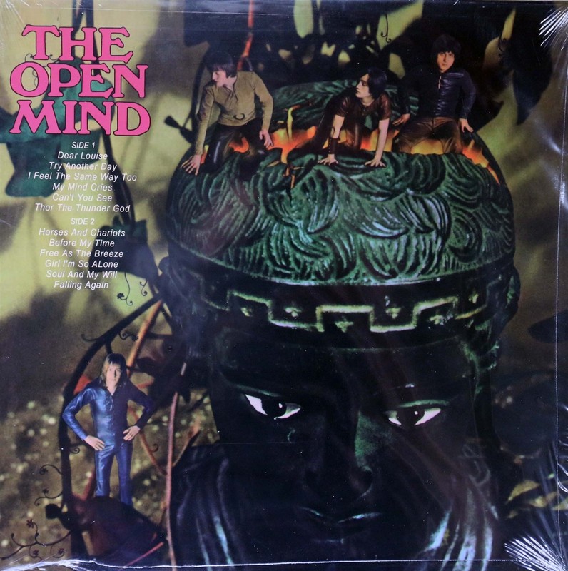 The Open Mind-same UK psych brand new reissue lp transparent beer vinyl