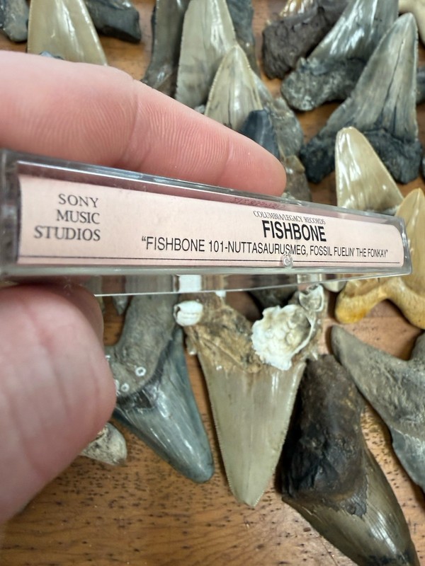 1996 ADVANCE PROMO FISHBONE FISHBONE 101 FUNK METAL PUNK SKA ROCK LOS ANGELES CA gallery