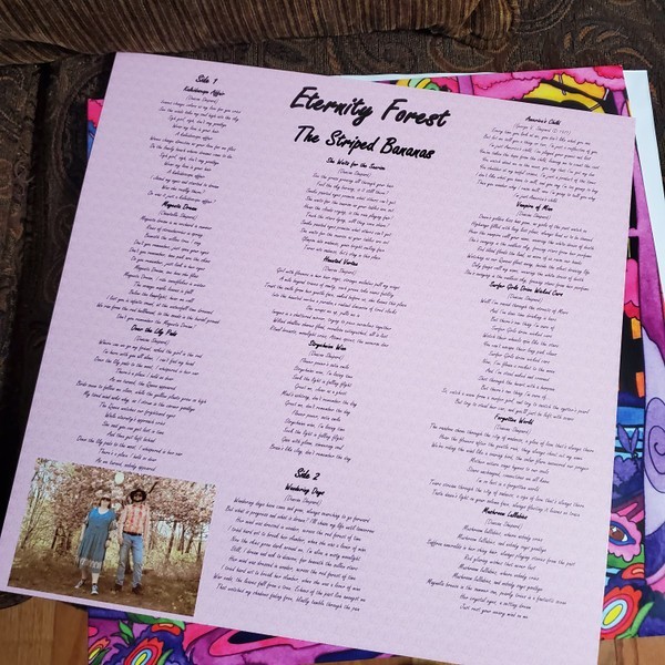 The Striped Bananas - Eternity Forest Vinyl - Psychedelic Rock Garage Rock Rare gallery
