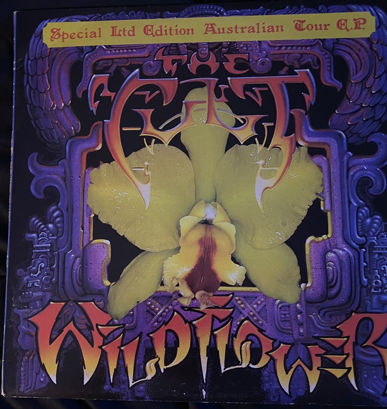 The Cult Wildflower 12” Vinyl Single Australia 1989 VG+/VG