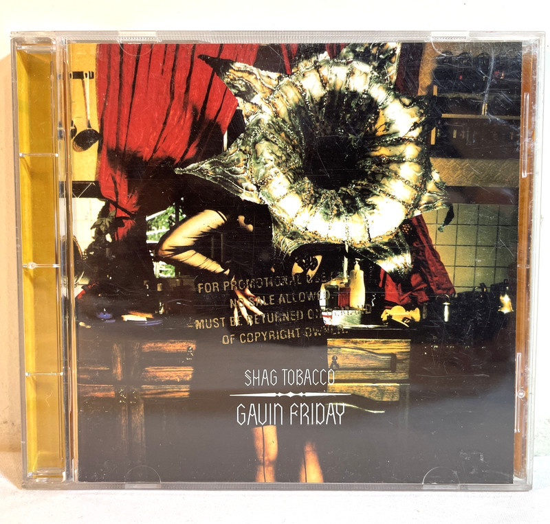 GAVIN FRIDAY: SHAG TOBACCO (1996) Promo CD Electronic Rock