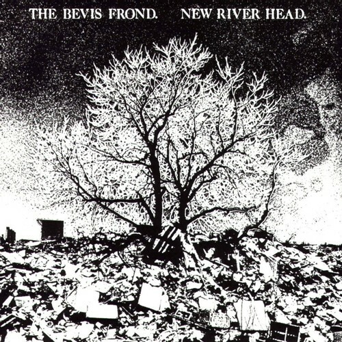 New River Head by The Bevis Frond (Record, 2016)