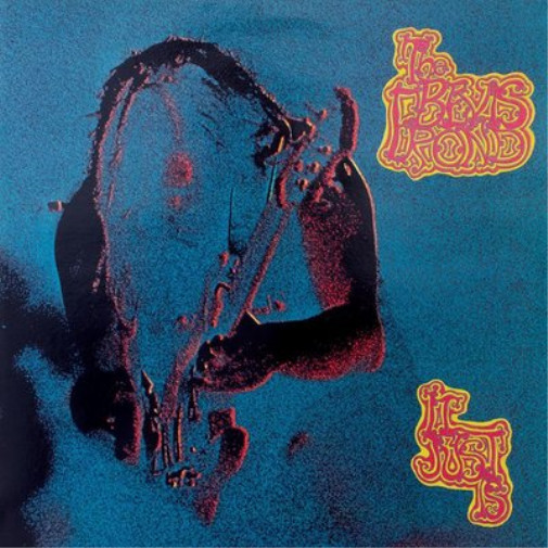 The Bevis Frond It Just Is (CD) Album