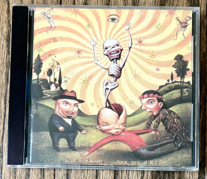 Was (Not Was), Are You Okay? [1990 Chrysalis CD VG+] They Might Be Giants, Ween